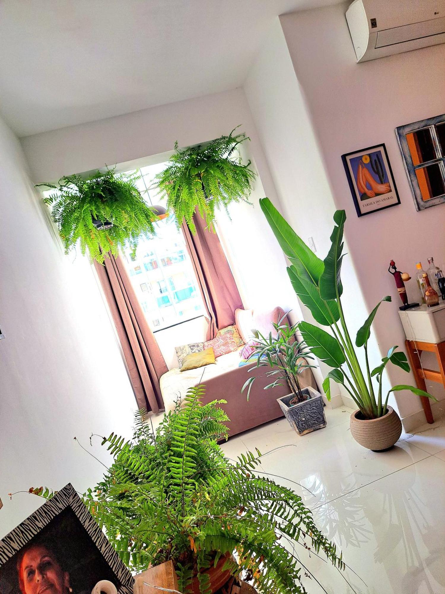 Quarto Com Anfitriao Rj Rio de Janeiro Exteriér fotografie